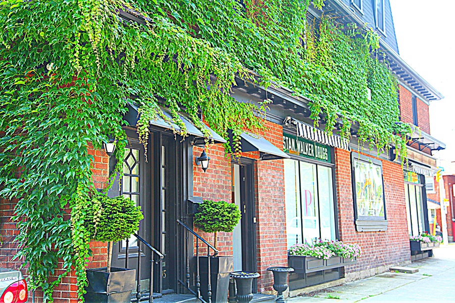 The Queensway / Stonegate The Matthew Fernandes Team Toronto Real