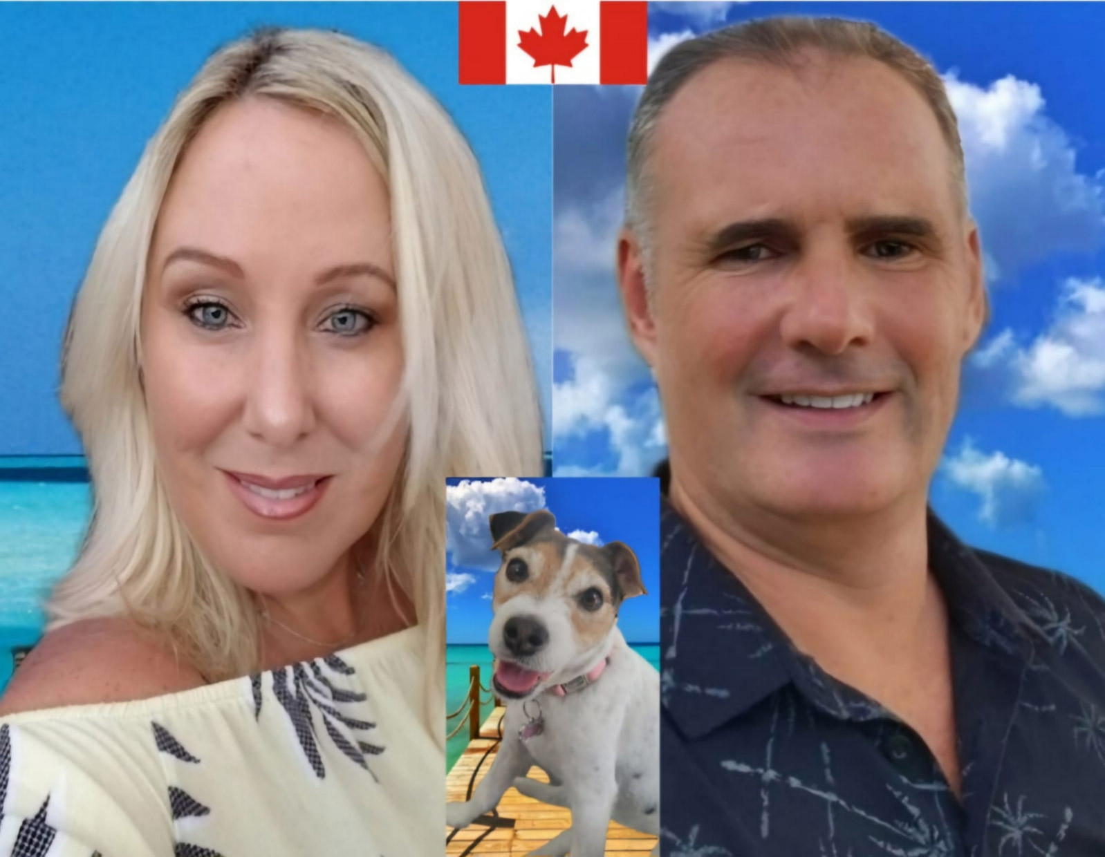 Home Michael Gallant Real Estate